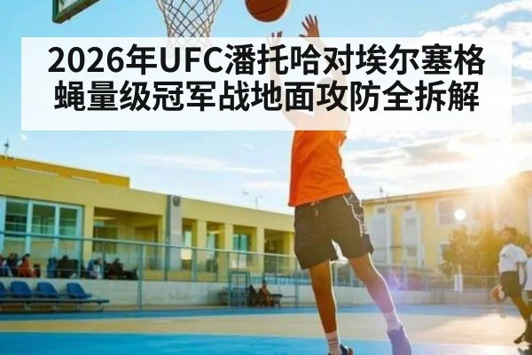 2026年UFC潘托哈对埃尔塞格蝇量级冠军战地面攻防全拆解