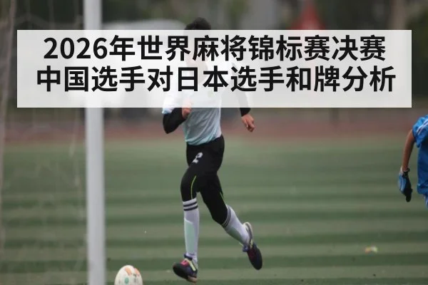 2026年世界麻将锦标赛决赛中国选手对日本选手和牌分析